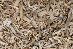 biomass boilers Balgrochan
